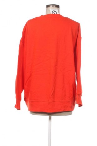 Damen Shirt Anko, Größe L, Farbe Rot, Preis € 4,49