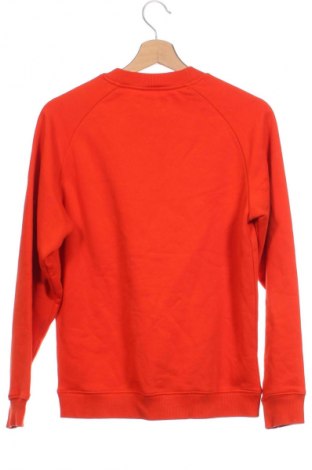 Damen Shirt Calvin Klein, Größe XS, Farbe Orange, Preis 45,52 €