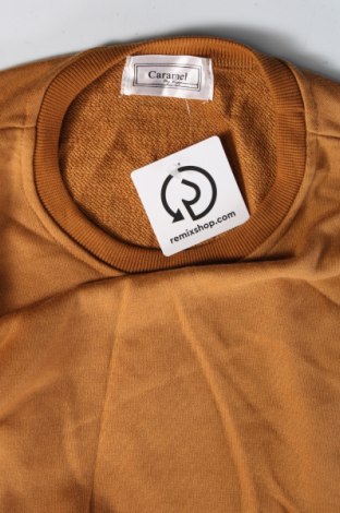 Damen Shirt Caramel, Größe L, Farbe Beige, Preis € 4,99