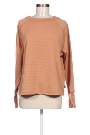 Damen Shirt Cotton On, Größe L, Farbe Braun, Preis € 4,49