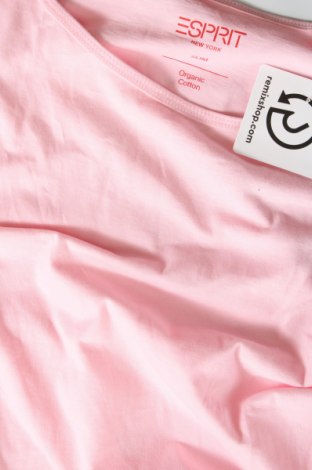 Damen Shirt Esprit, Größe XL, Farbe Rosa, Preis € 7,99