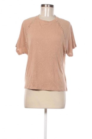 Damen Shirt Etam, Größe XS, Farbe Braun, Preis 5,99 €