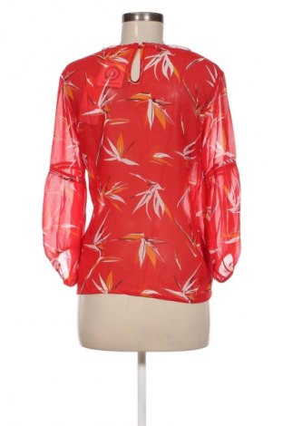 Damen Shirt Grace & Mila, Größe S, Farbe Mehrfarbig, Preis 6,99 €