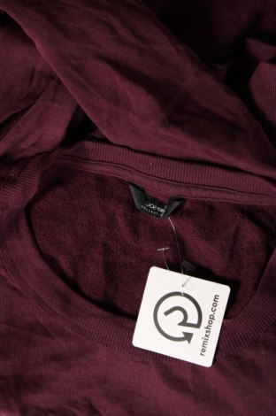 Damen Shirt Joe's, Größe M, Farbe Rot, Preis € 5,49