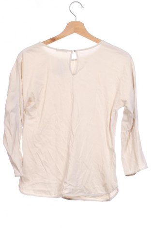 Damen Shirt Massimo Dutti, Größe XS, Farbe Beige, Preis 12,99 €