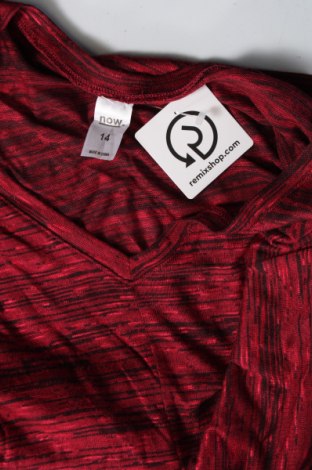 Damen Shirt Now, Größe L, Farbe Rosa, Preis € 3,29