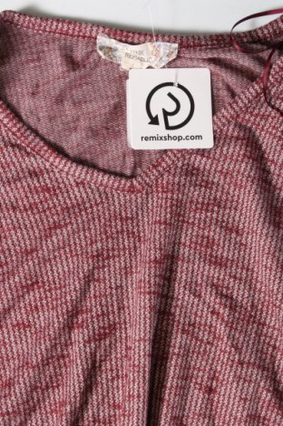 Damen Shirt Pink Republic, Größe S, Farbe Mehrfarbig, Preis € 3,99