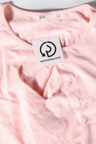 Damen Shirt Q&Q, Größe M, Farbe Rosa, Preis € 10,49