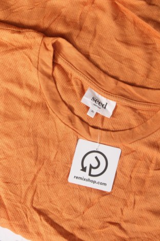 Damen Shirt Seed, Größe XL, Farbe Orange, Preis € 4,99