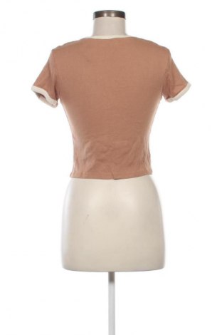 Damen Shirt Terranova, Größe L, Farbe Braun, Preis € 1,99