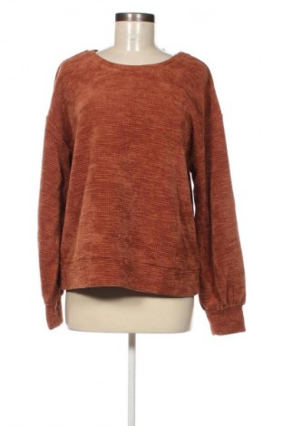 Damen Shirt Time and tru, Größe M, Farbe Braun, Preis € 4,99