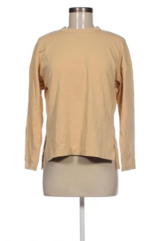 Damen Shirt Uniqlo, Größe M, Farbe Beige, Preis 4,49 €