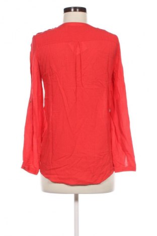 Damen Shirt Zara, Größe S, Farbe Rot, Preis € 10,13