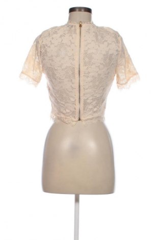 Damen Shirt Vera & Lucy, Größe L, Farbe Beige, Preis 4,49 €