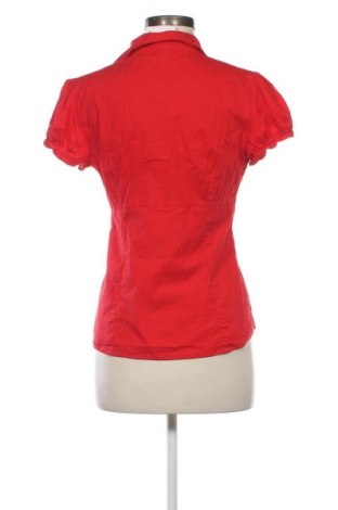 Damenbluse Dorothy Perkins, Größe M, Farbe Rot, Preis 10,99 €