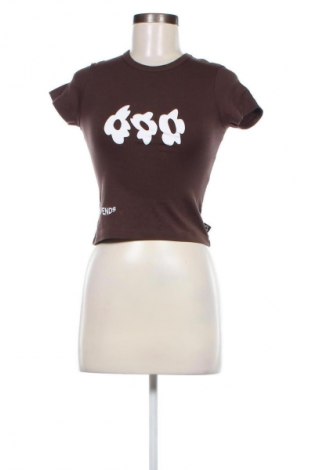 Damen T-Shirt Afends, Größe XS, Farbe Braun, Preis € 6,99