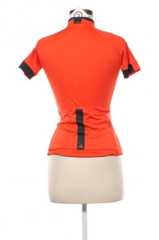 Damen T-Shirt BWET, Größe XS, Farbe Orange, Preis € 4,49