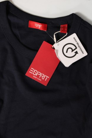 Damski T-shirt Esprit, Rozmiar M, Kolor Niebieski, Cena 95,96 zł