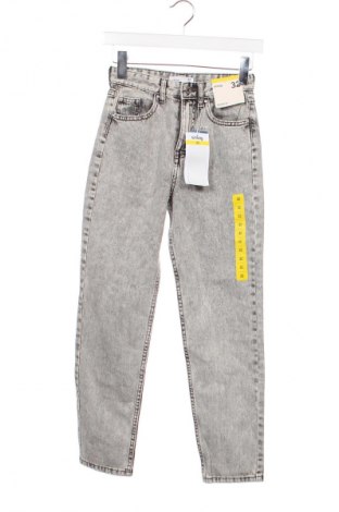 Damen Jeans Sinsay, Größe XXS, Farbe Grau, Preis € 17,49