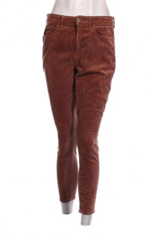 Damen Cordhose American Eagle, Größe M, Farbe Braun, Preis 5,99 €