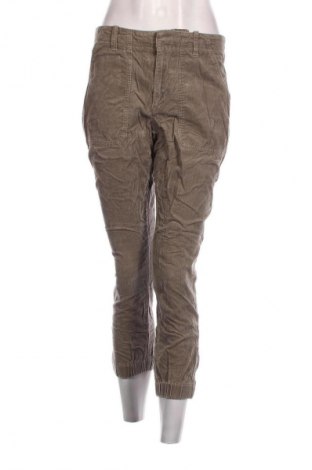 Damen Cordhose Banana Republic, Größe M, Farbe Grün, Preis 7,29 €