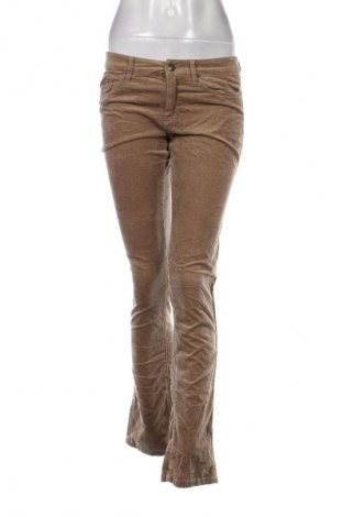 Damen Cordhose Esprit, Größe XS, Farbe Braun, Preis € 6,49