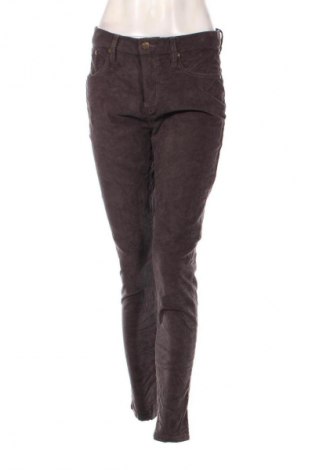 Pantaloni de velvet de femei Garnet Hill, Mărime S, Culoare Gri, Preț 223,68 Lei