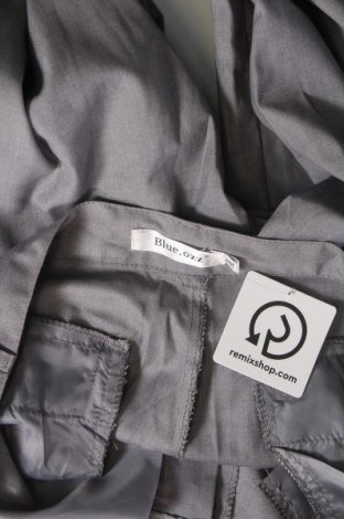 Damenhose, Größe XL, Farbe Grau, Preis € 6,49