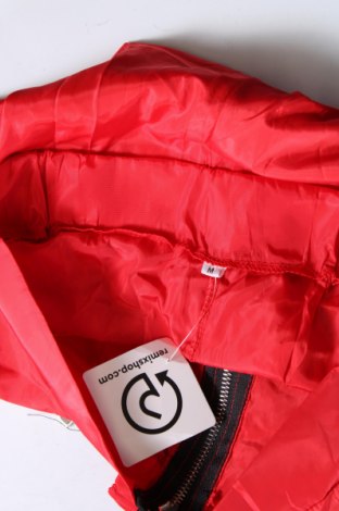 Damenhose, Größe S, Farbe Rot, Preis € 6,99