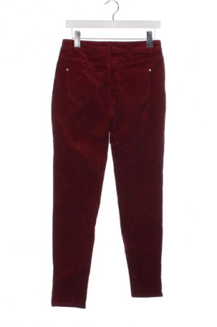 Damenhose Christian Berg, Größe XS, Farbe Rot, Preis € 6,99