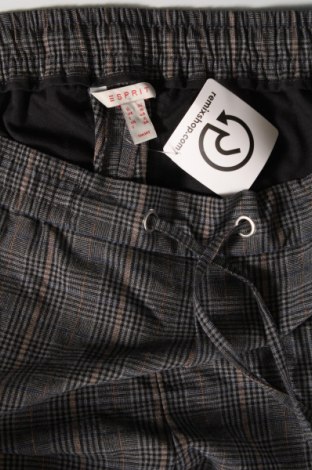 Damenhose Esprit, Größe S, Farbe Mehrfarbig, Preis € 5,99