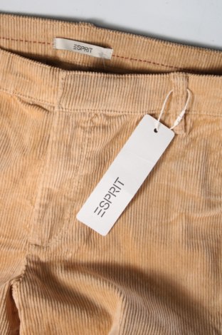 Damenhose Esprit, Größe M, Farbe Beige, Preis € 12,99