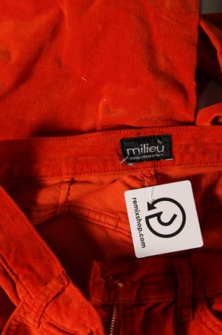 Damenhose Milieu, Größe M, Farbe Orange, Preis € 6,99