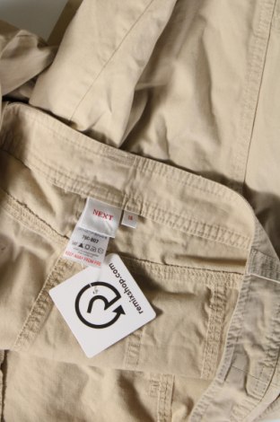 Damenhose Next, Größe XL, Farbe Grün, Preis € 10,95