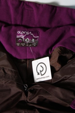 Damenhose für Wintersport, Größe M, Farbe Braun, Preis € 18,49