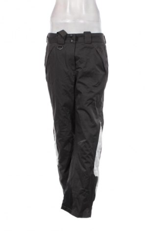 Damenhose für Wintersport, Größe L, Farbe Grau, Preis € 18,49