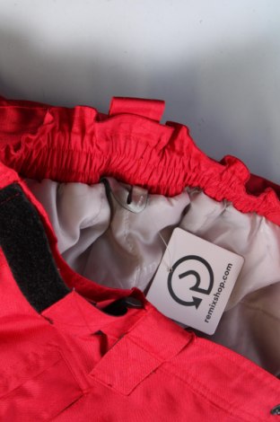 Damenhose für Wintersport, Größe S, Farbe Rot, Preis € 14,99