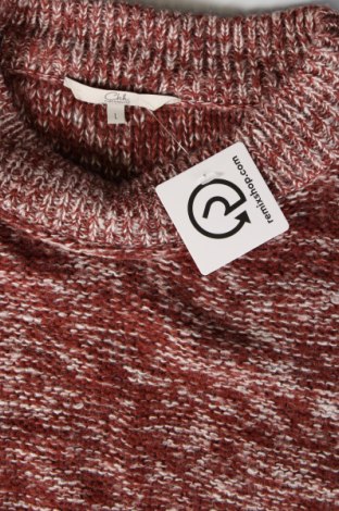 Damenpullover Clockhouse, Größe L, Farbe Rot, Preis 7,49 €