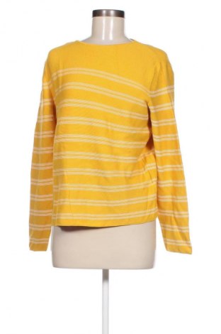 Γυναικείο πουλόβερ Peter Hahn, Μέγεθος M, Χρώμα Κίτρινο, Τιμή 15,79 €