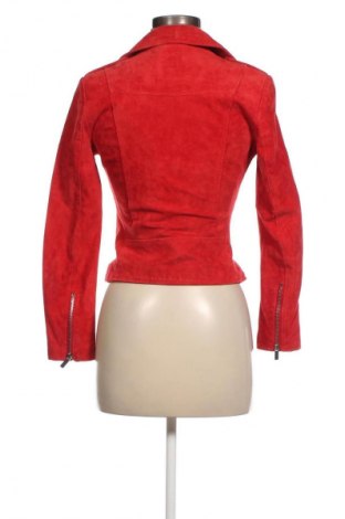 Damen Lederjacke Mango, Größe XS, Farbe Rot, Preis € 26,99