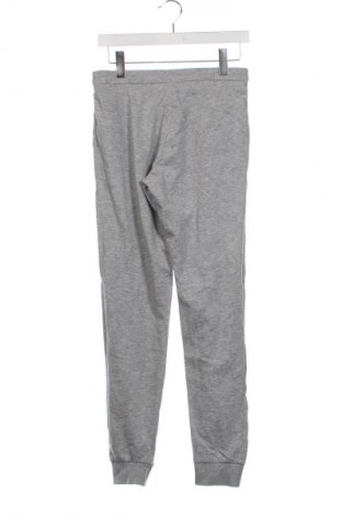 Damen Sporthose Clockhouse, Größe XS, Farbe Grau, Preis € 9,99