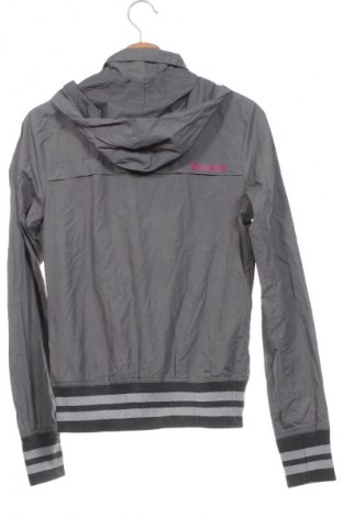 Damenjacke Bench, Größe S, Farbe Grau, Preis € 14,99