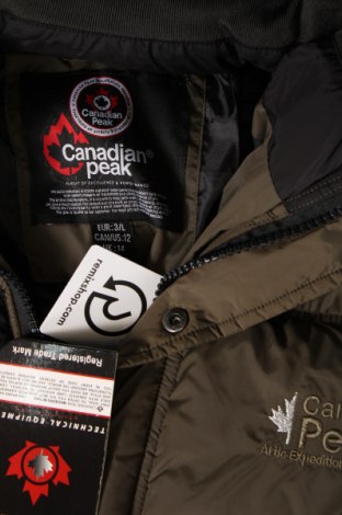 Γυναικείο μπουφάν Canadian Peak by Geographical Norway, Μέγεθος L, Χρώμα Πράσινο, Τιμή 61,99 €