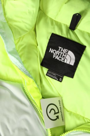 Γυναικείο μπουφάν The North Face, Μέγεθος XL, Χρώμα Πράσινο, Τιμή 196,39 €