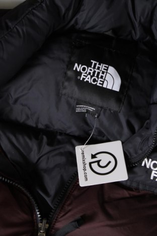 Γυναικείο μπουφάν The North Face, Μέγεθος L, Χρώμα Καφέ, Τιμή 196,39 €