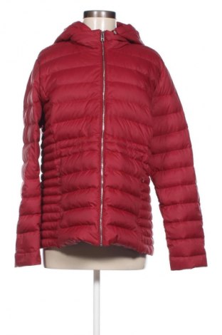 Damenjacke Tommy Hilfiger, Größe XXL, Farbe Rot, Preis € 150,99