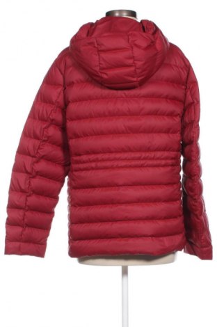 Damenjacke Tommy Hilfiger, Größe XXL, Farbe Rot, Preis € 150,99