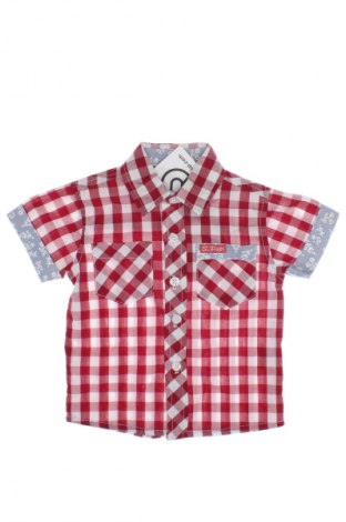 Kinder Shirt, Größe 6-9m/ 68-74 cm, Farbe Mehrfarbig, Preis 1,99 €