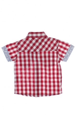 Kinder Shirt, Größe 6-9m/ 68-74 cm, Farbe Mehrfarbig, Preis € 1,99