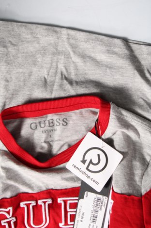 Детска блуза Guess, Размер 6-7y/ 122-128 см, Цвят Сив, Цена 77,00 лв.